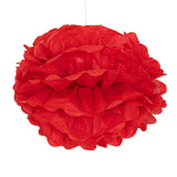6 Pack 10inch Red Tissue Paper Pom Poms Flower Balls, Ceiling Wall Hanging Decorations#whtbkgd