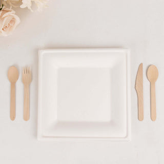 Versatile and Sustainable Disposable Dinnerware