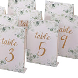 25 Pack White Green Double Sided Paper Table Sign Cards with Eucalyptus Leaves#whtbkgd