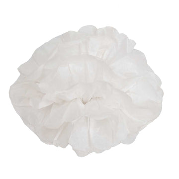 6 Pack 6" White Tissue Paper Pom Poms Flower Balls, Ceiling Wall Hanging Decorations