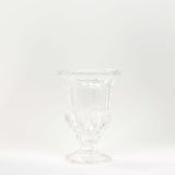 2 Pack Clear Glass Pedestal Flower Vases in Classic Roman Urn Style, 6inch Mini Floral Vase