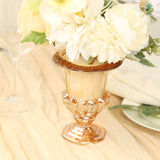 2 Pack Amber Gold Glass Pedestal Flower Vases in Classic Roman Urn Style, 8inch Mini Floral Vase