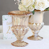 2 Pack Amber Gold Glass Pedestal Flower Vases in Classic Roman Urn Style, 8inch Mini Floral Vase