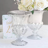 2 Pack Clear Glass Pedestal Flower Vases in Classic Roman Urn Style, 8" Mini Floral Vase Table