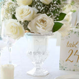 2 Pack Clear Glass Pedestal Flower Vases in Classic Roman Urn Style, 8" Mini Floral Vase Table