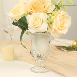 2 Pack Clear Glass Pedestal Flower Vases in Classic Roman Urn Style, 8" Mini Floral Vase Table