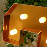 Giant LED Marquee Light Up Number, Gold 4ft Pre-Cut Foam Board with 10 Warm White Battery