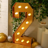 Giant LED Marquee Light Up Number, Gold 4ft Pre-Cut Foam Board with 10 Warm White Battery