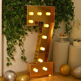 Giant LED Marquee Light Up Number, Gold 4ft Pre-Cut Foam Board with 10 Warm White Battery