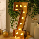Giant LED Marquee Light Up Number, Gold 4ft Pre-Cut Foam Board with 10 Warm White Battery