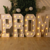 4ft White Large Marquee Light Up Letter M Mosaic Balloon Frame Pre-Cut Foam Board 10 Warm White