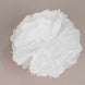 6 Pack 10" White Paper Tissue Fluffy Pom Pom Flower Balls