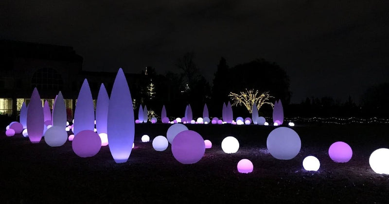 Lakeside Serenity: Nature's Embrace of Tranquility