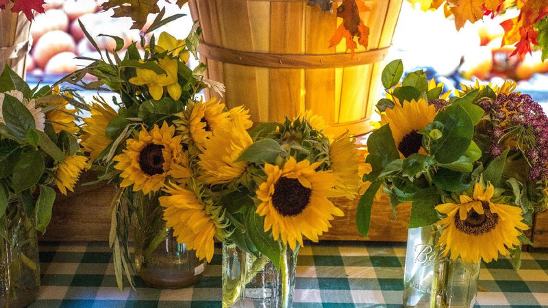 Classic Backyard BBQ: A Time-Honored American Tradition