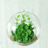 4 Pack | 4inch Air Plant Hanging Glass Globe Terrarium, Free-Falling Elegant Planter#whtbkgd