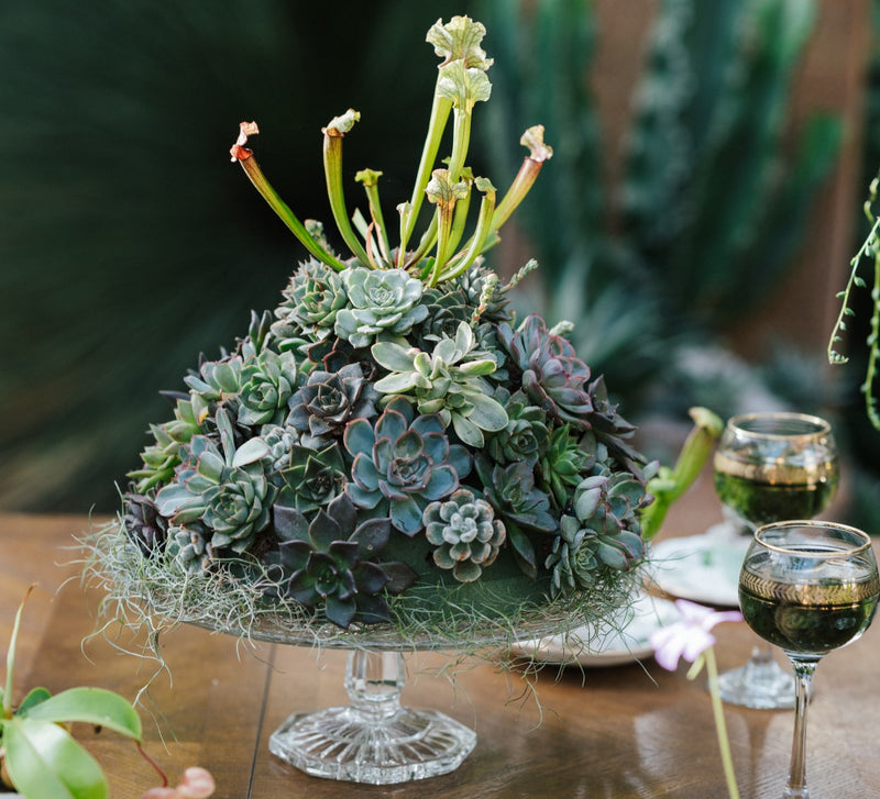 father's day table decorations