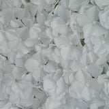 11 Sq ft. | White UV Protected Hydrangea Flower Wall Mat Backdrop - 4 Artificial Panels