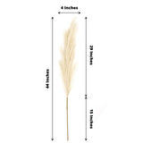 3 Stems | 44inches Cream Artificial Pampas Grass Plant Sprays, Faux Branches Vase Flower Arrangement