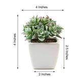 3 Pack | 4inches Ceramic Planter Pot & Green Artificial Echeveria Plants