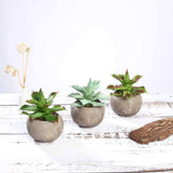 3 Pack | 5inches Ceramic Planter Pot & Artificial Aloe Succulent Plants