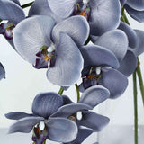 2 Stems | 40inch Tall Charcoal Gray Artificial Silk Orchid Flower Bouquets