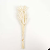 50 Pack | 15inch Natural White Rabbit Tail Dried Pampas Grass Stem Bouquets