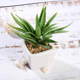 3 Pack | 5inches Ceramic Planter Pot & Artificial Spot Aloe Succulent Plant