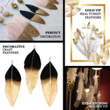 30 Pack | Metallic Gold Dipped White Real Goose Feathers | Craft Feathers for Party Decoration