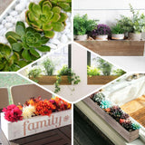 30"x6" White Wood Planter Box With Plastic Liners