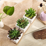 3 Pack | 4inches Ceramic Planter Pot & Artificial Lotus Succulent Plants