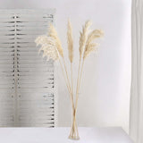 6 Stems | 32inch Wheat Tint Dried Natural Pampas Grass Plant Sprays