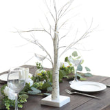 2ft White Artificial LED Birch Tree Lamp, USB Rechargeable Warm White Lighted Tree Centerpiece