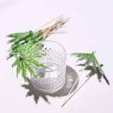 6inch Green Tropical Leaf Parasol Cocktail Drink Umbrella Picks, Natural Bamboo Skewer Sticks