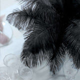 12 Pack | 13-15inch Black Natural Plume Real Ostrich Feathers, DIY Centerpiece Fillers