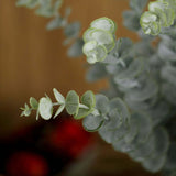 30 Stems | 17inch Frosted Green Artificial Eucalyptus Sprays, Faux Plants