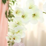 2 Stems | 40inch Tall Cream Artificial Silk Orchid Flower Bouquets