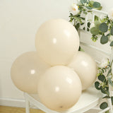 50 Pack Matte Pastel Beige Biodegradable Balloons 12inch, Round Eco-friendly