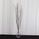 6 Pack Natural Extra Long Willow Tree Branches