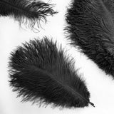 12 Pack | 13-15inch Black Natural Plume Real Ostrich Feathers, DIY Centerpiece Fillers