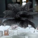 12 Pack | 13-15inch Black Natural Plume Real Ostrich Feathers, DIY Centerpiece Fillers