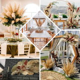 6 Stems | 49inch Wheat Tint Dried Natural Pampas Grass Plant Sprays