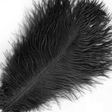 12 Pack | 13inch - 15inch Black Natural Plume Real Ostrich Feathers#whtbkgd