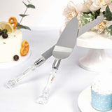 2 Set | Stainless Steel Knife and Server Party Favors Set With Clear Acrylic Handle | Free Gift Box 