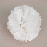 6 Pack 6inch White Tissue Paper Pom Poms Flower Balls, Ceiling Wall Hanging Decorations