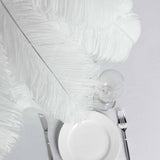 Set of 12 | 24"-26" White Natural Plume Ostrich Feathers Centerpiece 