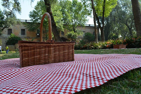 Red checkered picnic blanket with wicker basket