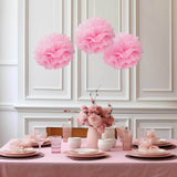 6 Pack 10inch Pink Tissue Paper Pom Poms Flower Balls, Ceiling Wall Hanging Decorations