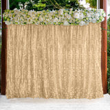 8ftx8ft Champagne 3D Leaf Petal Taffeta Fabric Event Curtain Drapery, Photo Backdrop Panel
