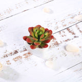 3 Pack | 3inches Ceramic Planter Pot & Artificial Echeveria Elegans Plants