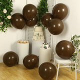 10 Pack Matte Pastel Cinnamon Brown Biodegradable Balloons 18inch, Round Eco-friendly